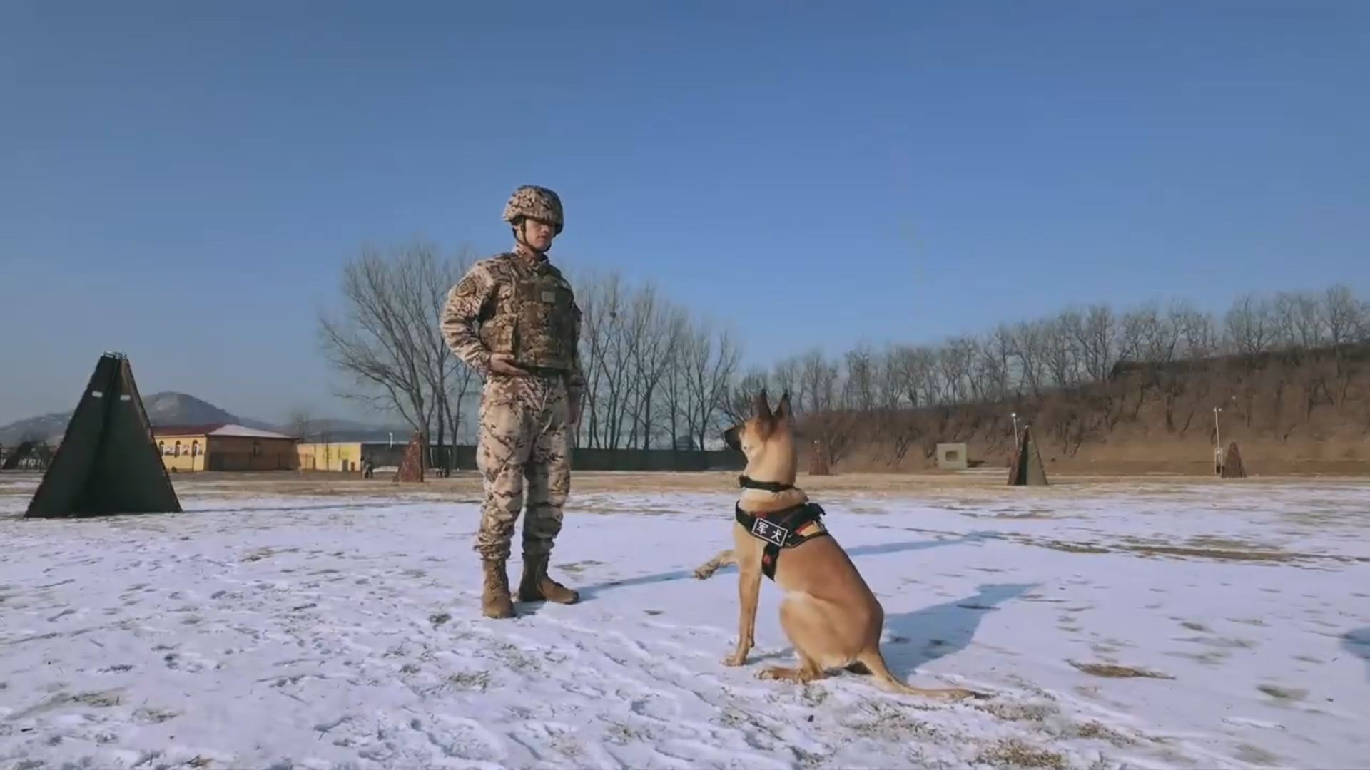 Police Dogs Trained in Harsh Winter