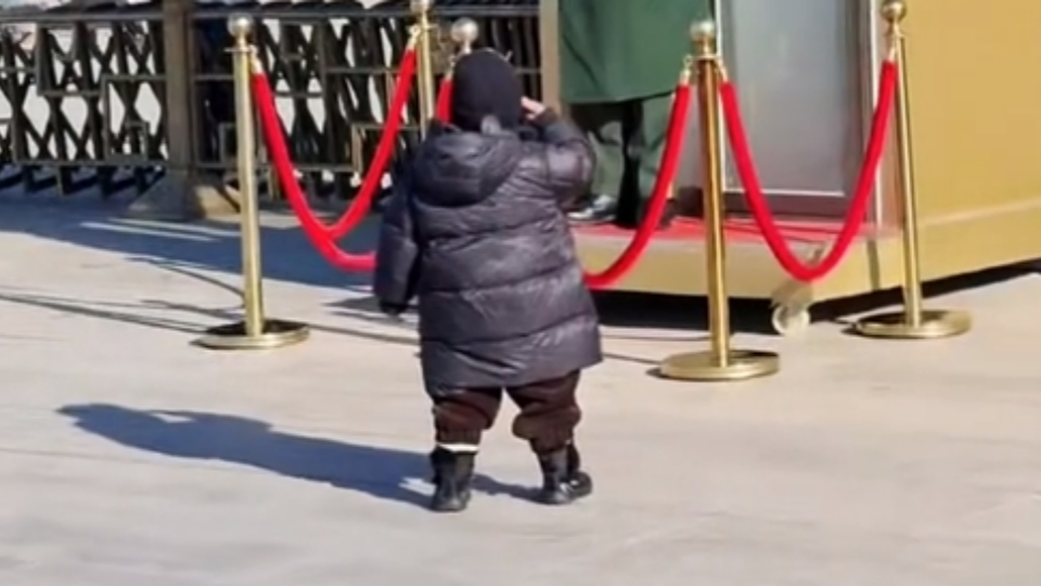 Heartwarming Salutes