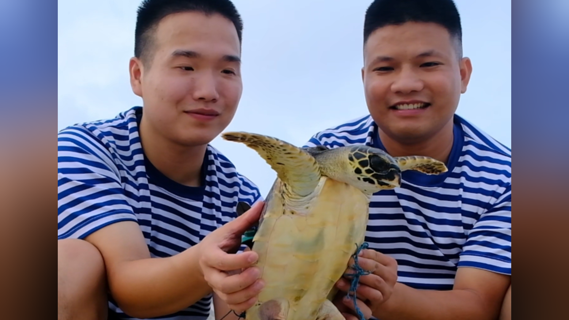 Sailors rescue hawksbill turtle