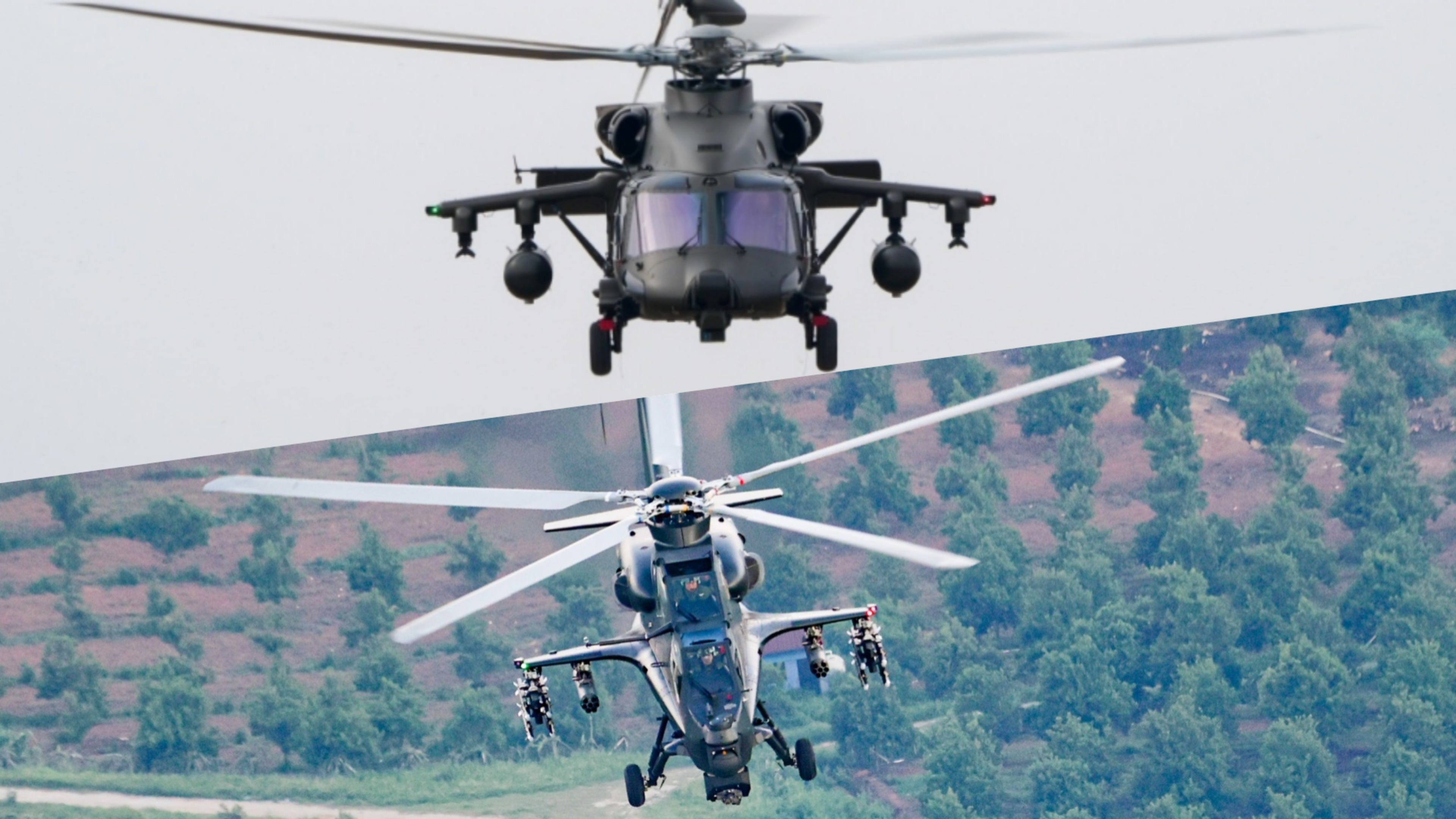 Assault Eagles