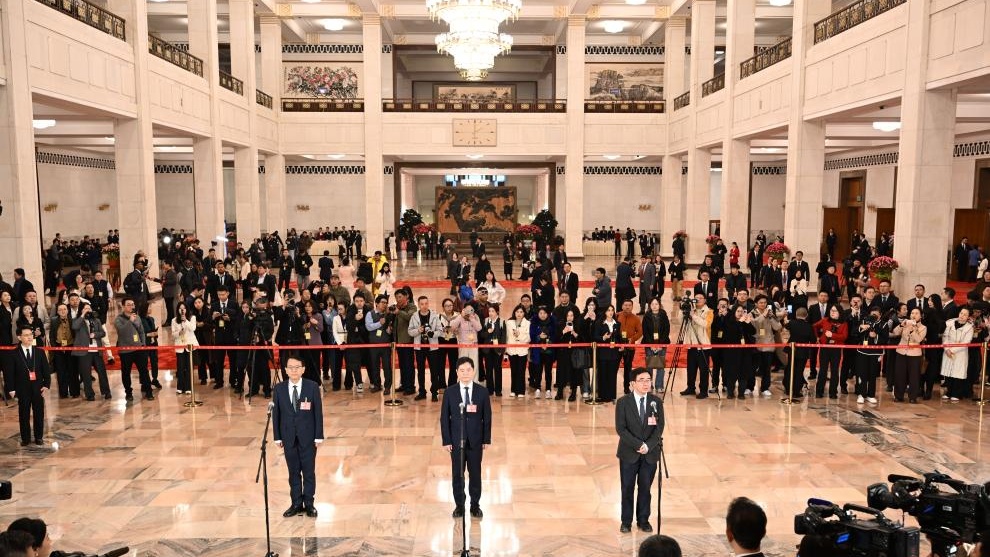 CPPCC members attend group interview ahead of annual session