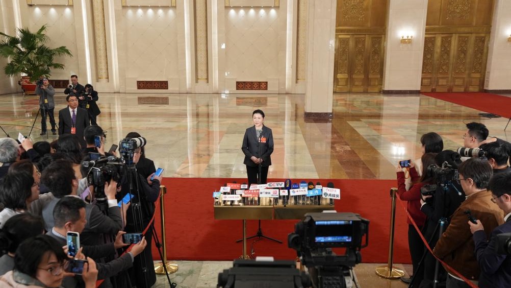 Ministers give interviews after closing meeting of 4th session of 14th NPC