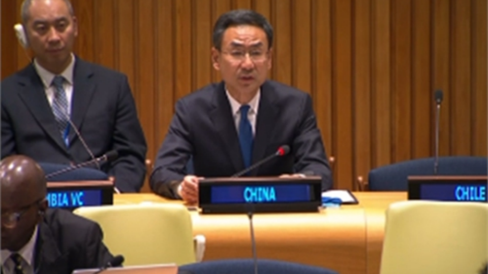 China calls for sanctions on Baloch Liberation Army and affiliate Majeed Brigade at UN