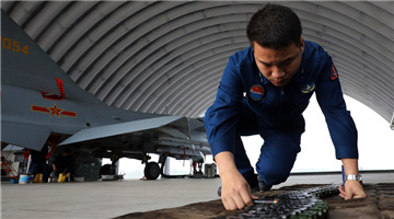 Ground crew check ammunition in advance