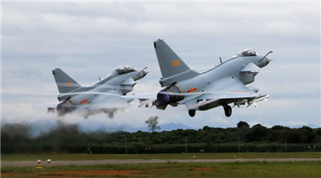 Air force brigade holds ferry flight training