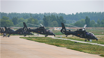 Attack helicopters conduct hover checks
