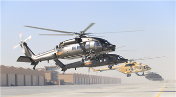 Helicopters sit abreast on flightline before lift off