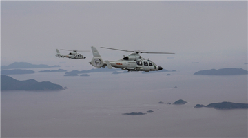 Ship-borne helicopters fly above sea