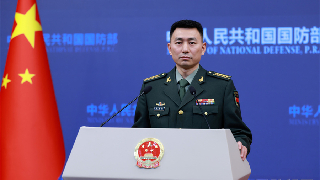China assists US in search of remains of missing personnel in WWII: Defense Spokesperson