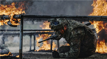 Soldiers tread through jungle during individual tactical training