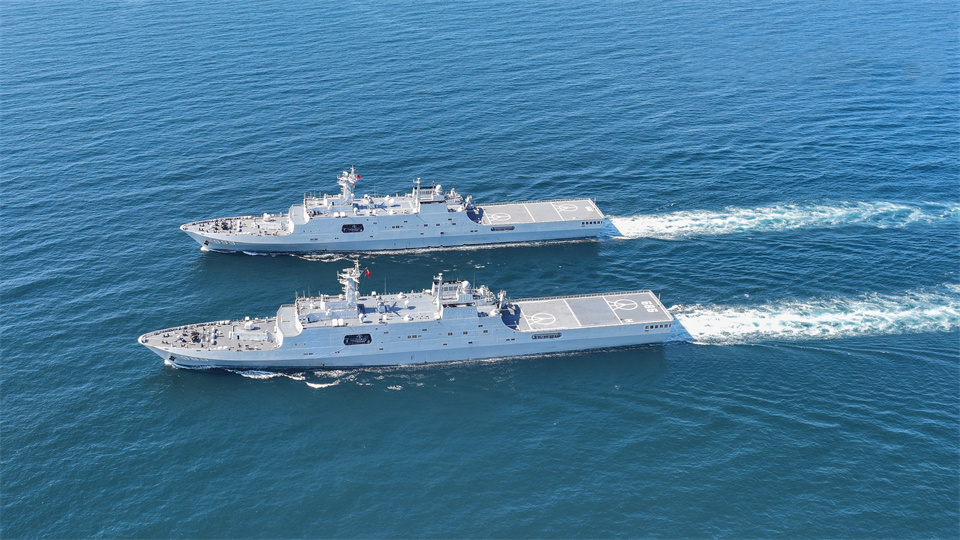 Amphibious dock landing ships in maritime training