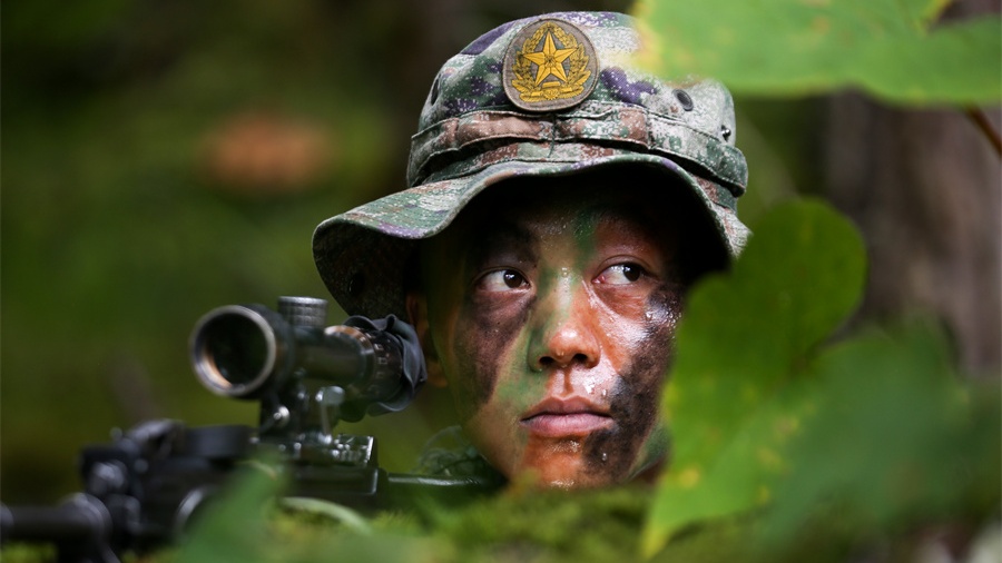 Soldiers participate in tactical training in woods