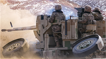 Soldiers operate anti-aircraft artillery in live-fire test