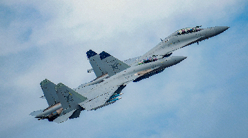 Carrier-borne fighter jets J-15D, J-15T to debut at Airshow China 2024 