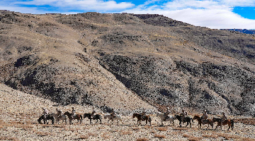 Soldiers patrol mountainous border area by riding horses