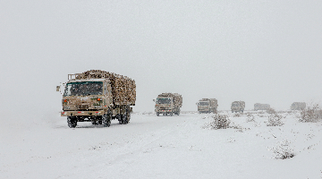 Military trucks maneuver in snowfield