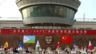 PLA Support Base in Djibouti  organizes exchanges with multinational troops