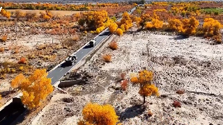 Live-fire Exercise in Desert 