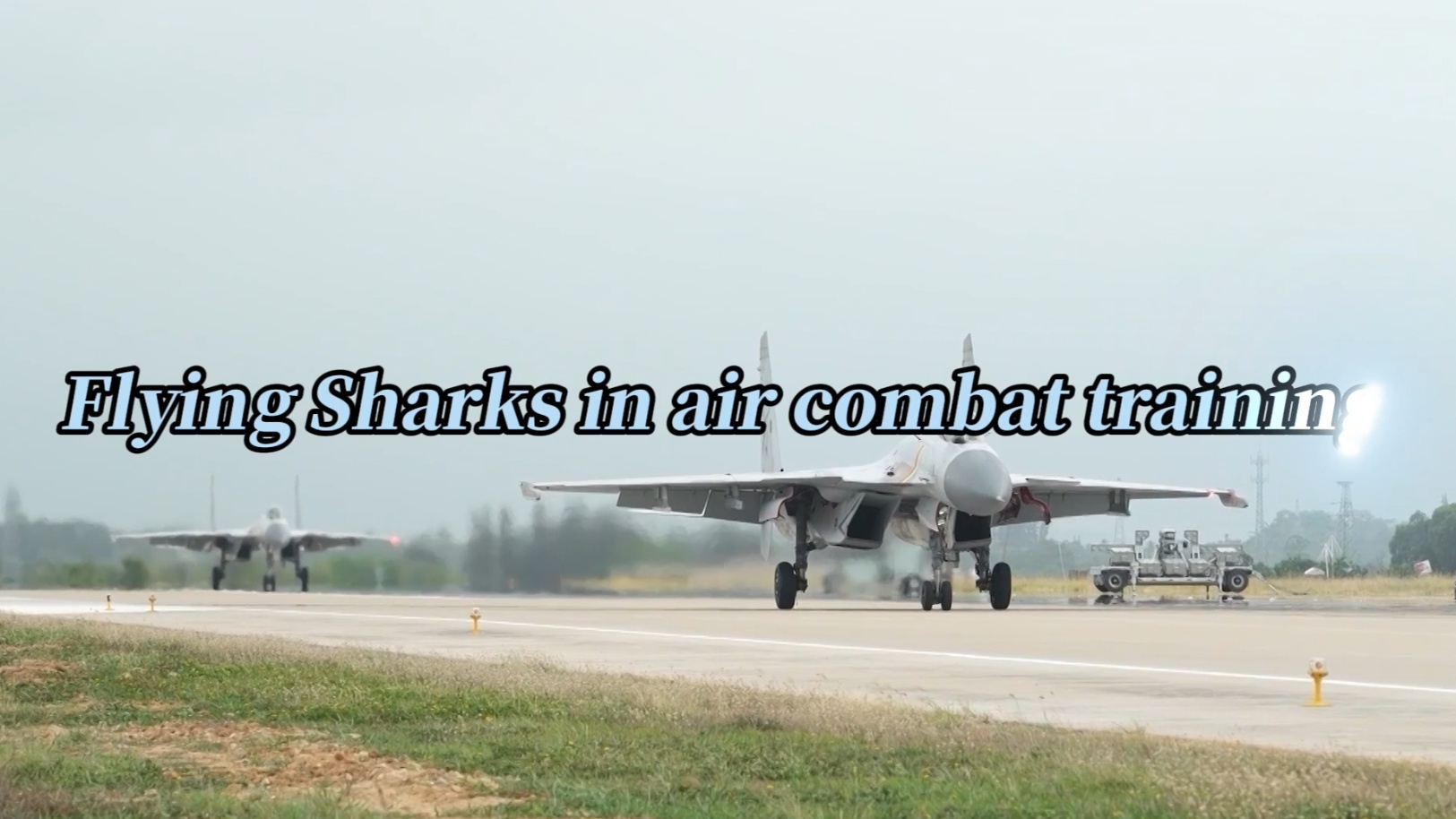 Flying Sharks in air combat training