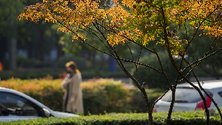 China to see cooler weather but favorable travel conditions over National Day holiday