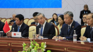 Wang Yi calls for BRICS to jointly address security threats