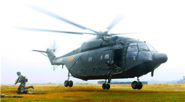 Army aviation troops in air-landing training