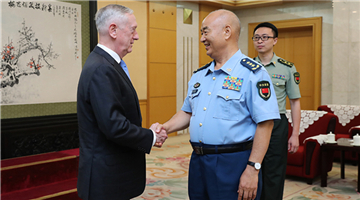 CMC Vice Chairman meets with US Secretary of Defense