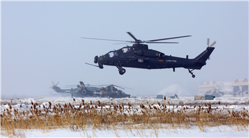 Multi-type attack helicopters lift off for flight training