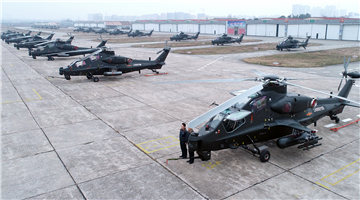 WZ-10 attack helicopters sit in front of aircraft hangars