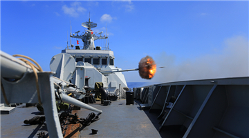 Frigates steam in South China Sea during week-long exercise