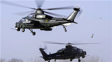 Helicopters participate in round-the-clock flight tasks