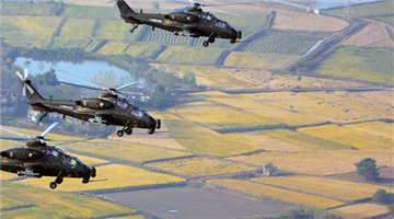 Attack helicopters fly over terraced fields
