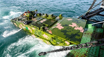 IFVs and landing ship in coordination training