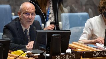 Security Council weighs benefits, drawbacks of pandemic-era innovations