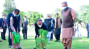 Friendship tree planted in Pakistan to mark 70th anniversary of diplomatic ties with China