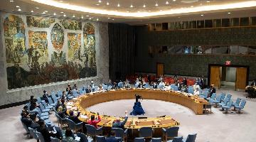 Security Council renews mandate of UN mission in Mali