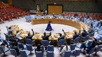 Security Council extends mandate of peacekeeping force in Cyprus until Jan. 31