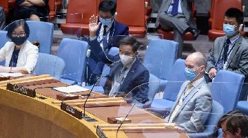UN Security Council renews sanctions against CAR
