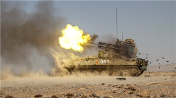 Combined arms regiment organizes live-fire training