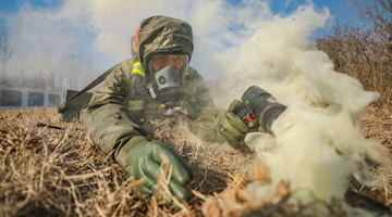 PAP soldiers in emergency response training against chemical accidents