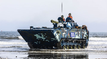 Amphibious armored vehicles in maritime training exercise