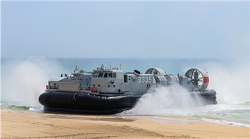 Naval landing ship flotilla conducts collaboration exercise