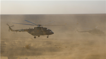 Transport helicopters kick up sand during training