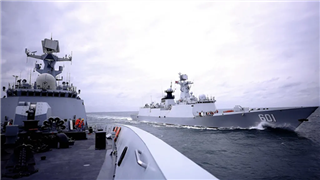 Destroyer flotilla organizes first live-fire training in 2022